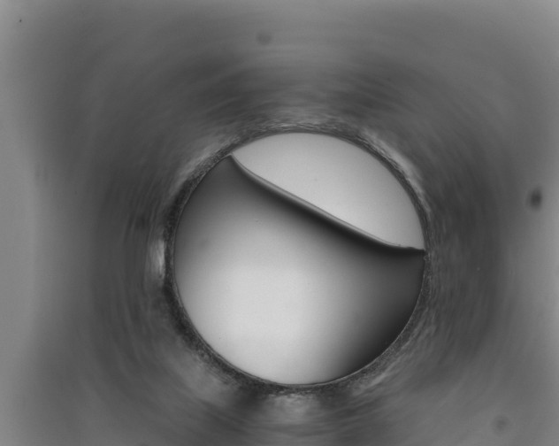 X0000091520067200708171018