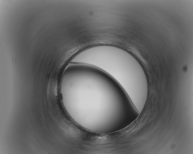 X0000091520068200708171018