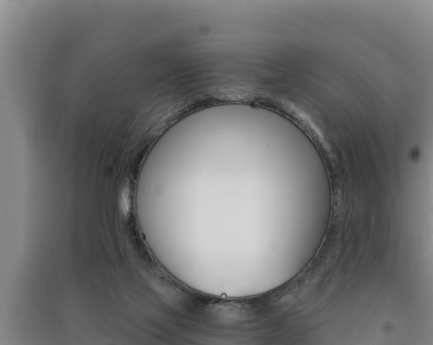 X0000091520069200708171018