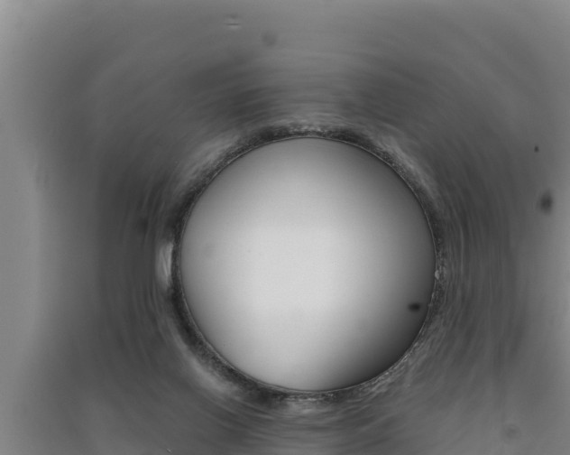 X0000091520070200708171018