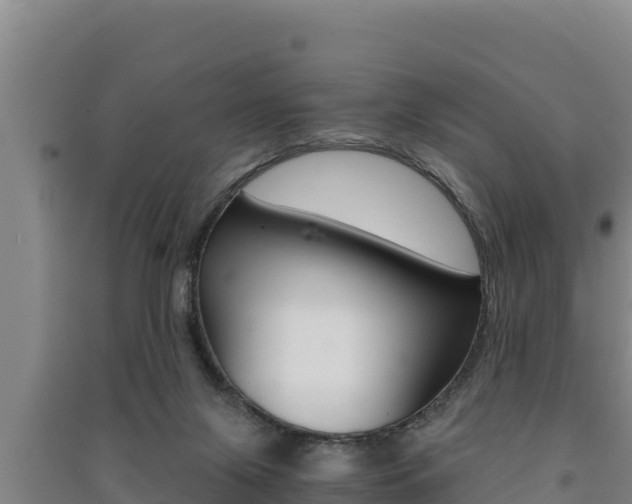 X0000091520071200708171018