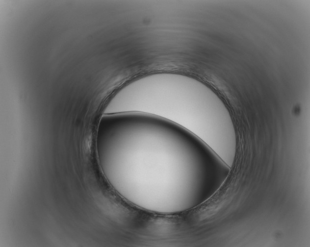 X0000091520072200708171018