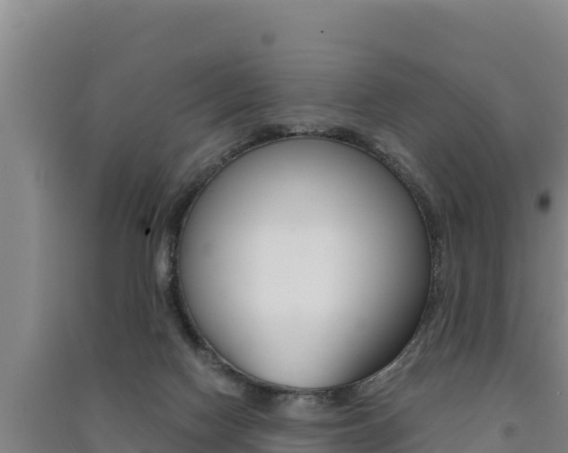 X0000091520074200708171019