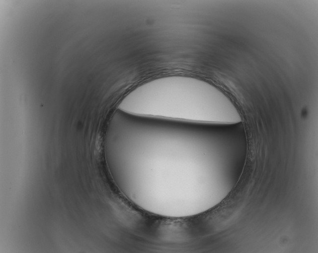 X0000091520077200708171019