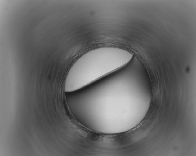 X0000091520078200708171019
