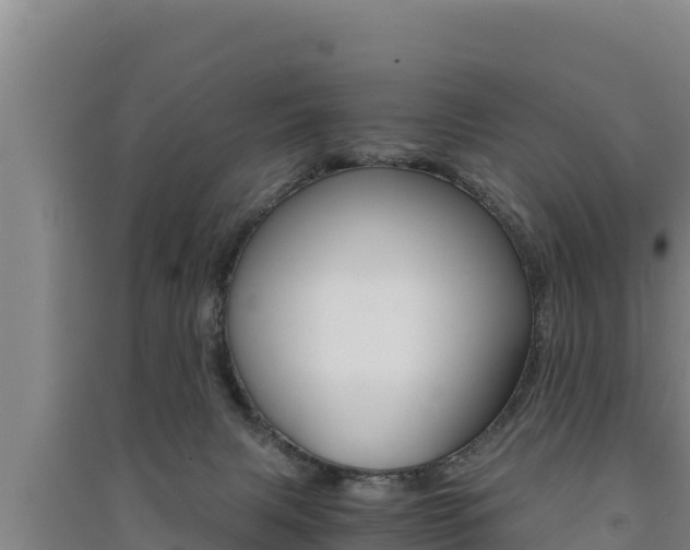 X0000091520079200708171019