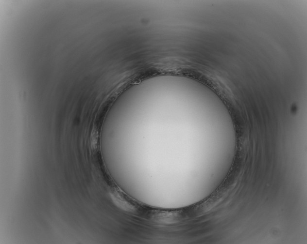 X0000091520081200708171019