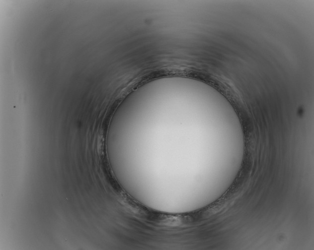 X0000091520083200708171019