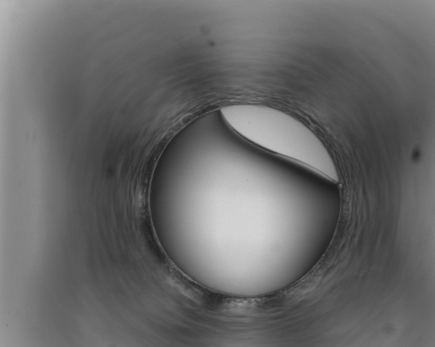 X0000091520084200708171019