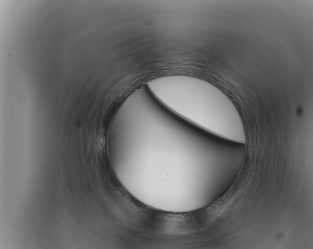 X0000091520085200708171019