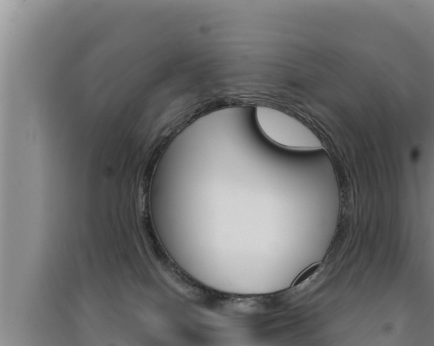 X0000091520086200708171019