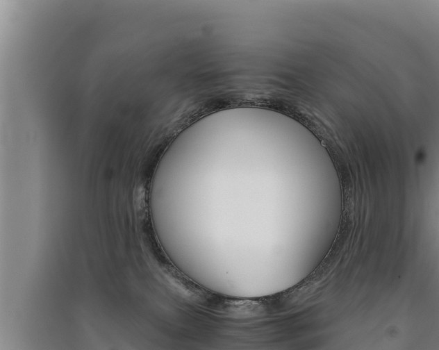 X0000091520087200708171019