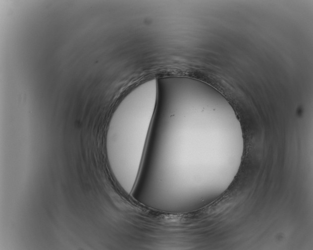 X0000091520088200708171019