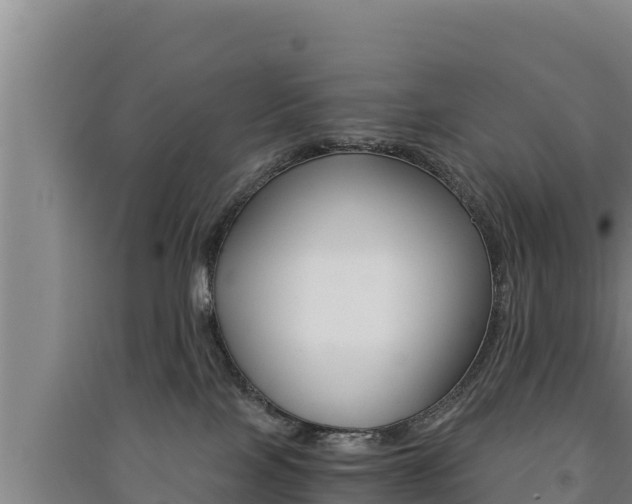 X0000091520089200708171019