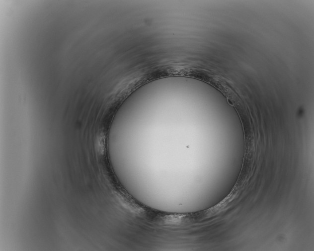 X0000091520090200708171019