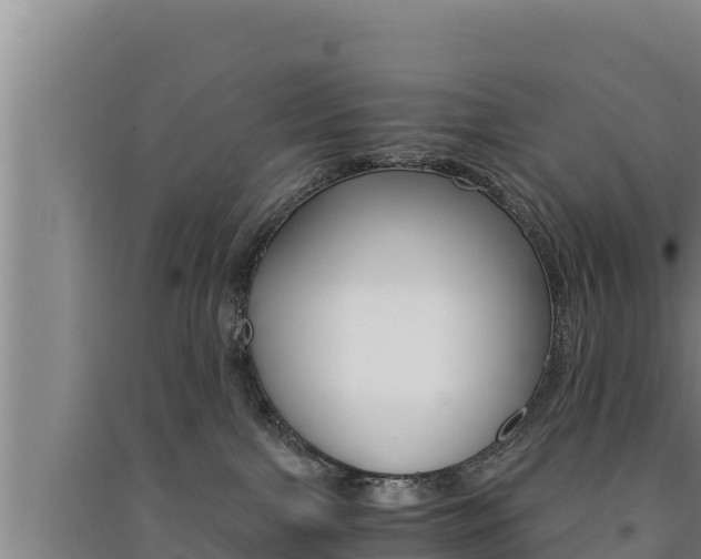 X0000091520091200708171019