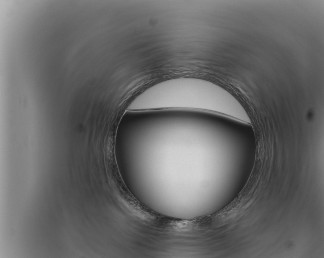 X0000091520092200708171019