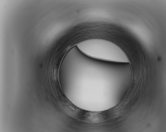 X0000091520093200708171019