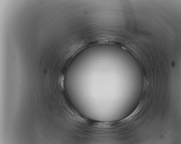 X0000091520094200708171019