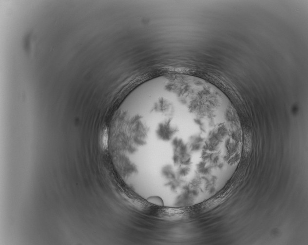 X0000091520095200708171019