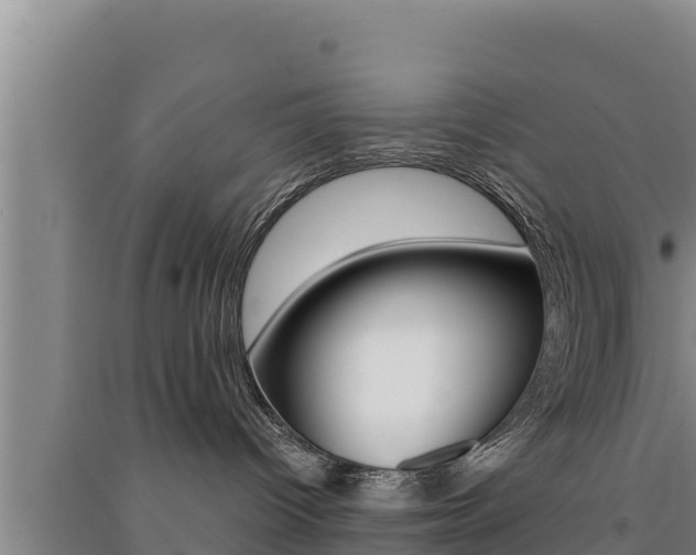 X0000091520096200708171019