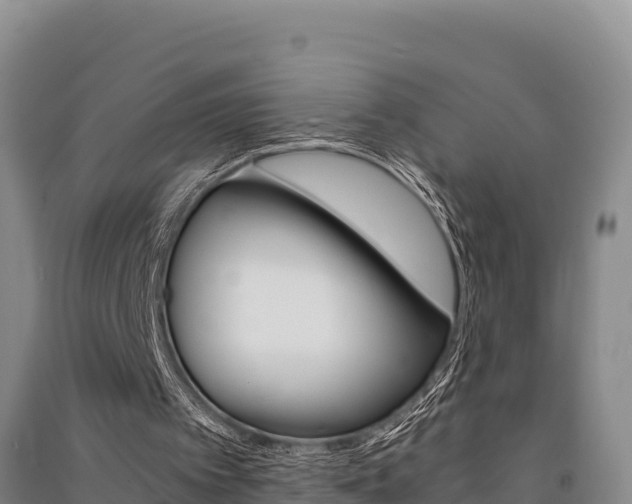 X0000091520097200708171018