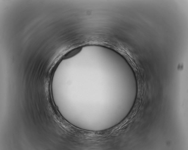 X0000091520098200708171018