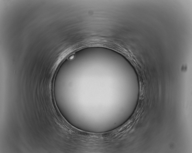 X0000091520099200708171018