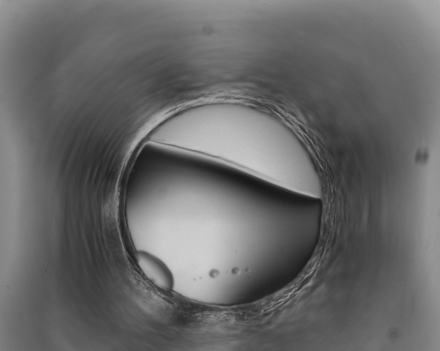X0000091520100200708171018