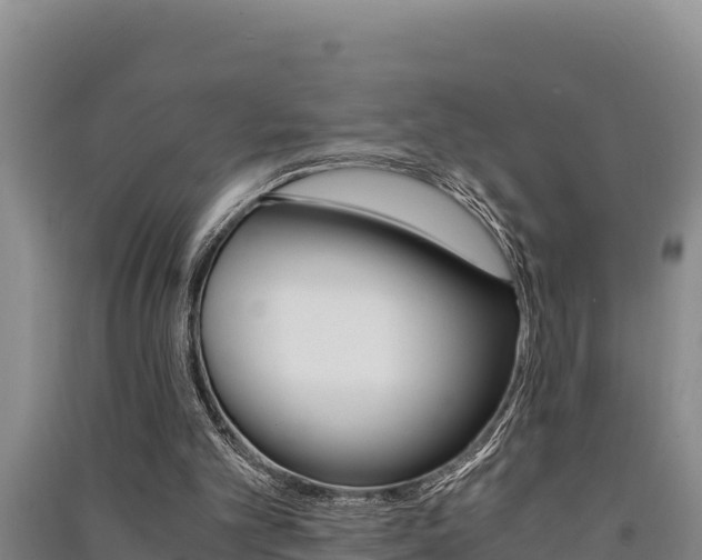 X0000091520101200708171018