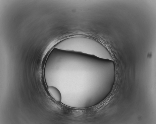 X0000091520102200708171018
