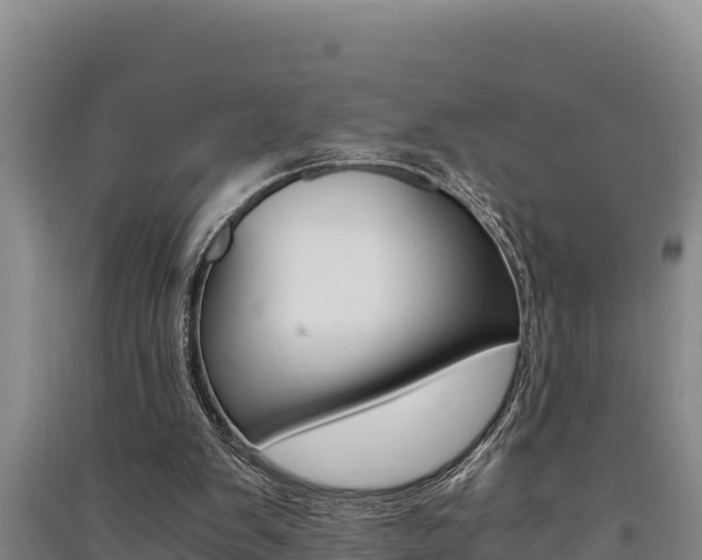 X0000091520103200708171018