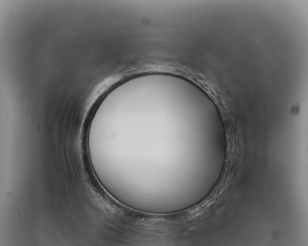 X0000091520104200708171018