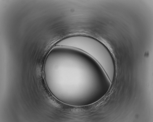 X0000091520105200708171018