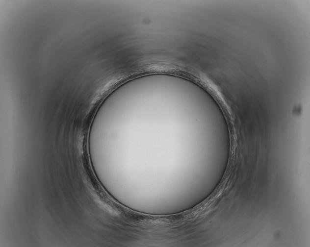 X0000091520106200708171018