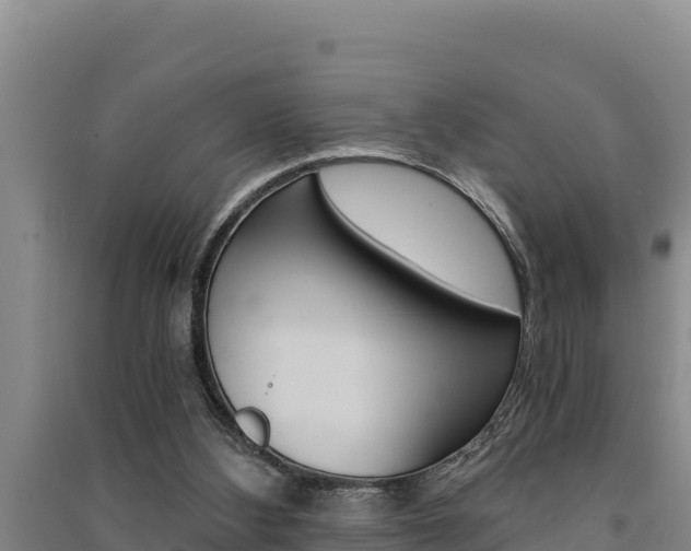 X0000091520108200708171018