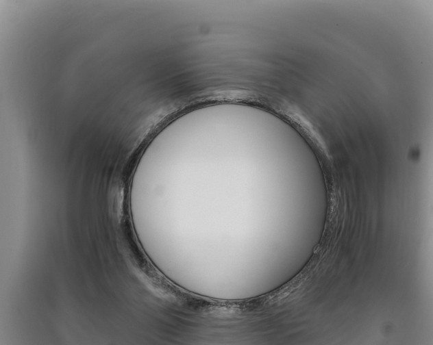 X0000091520110200708171018