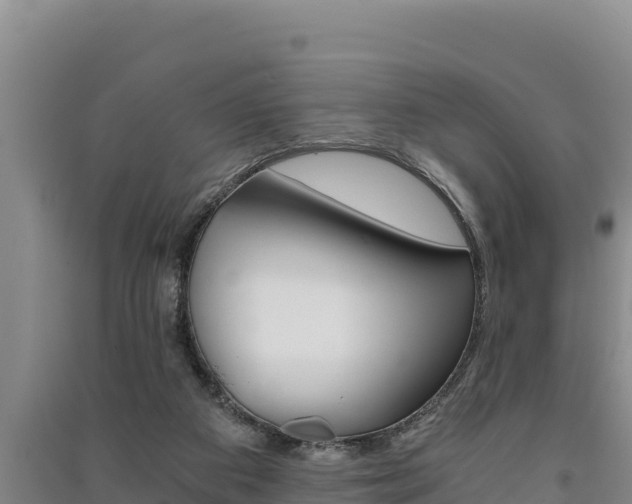 X0000091520113200708171018