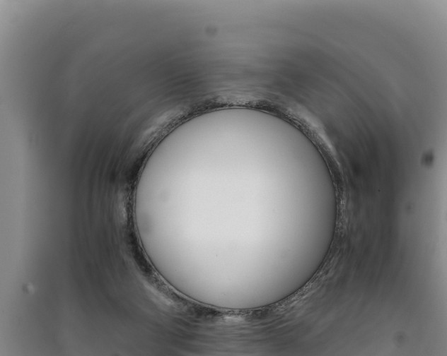 X0000091520114200708171018