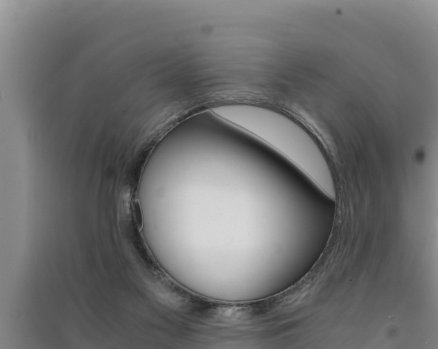 X0000091520117200708171018