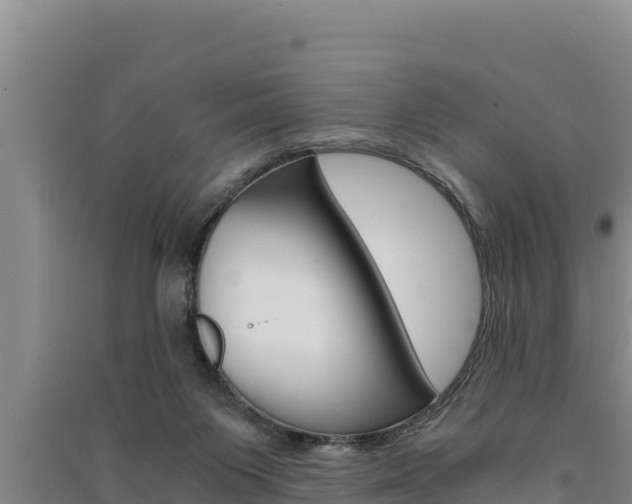 X0000091520119200708171018