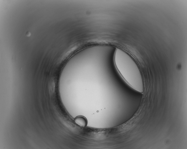 X0000091520120200708171018