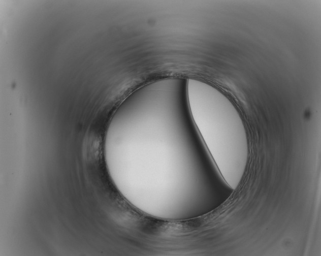 X0000091520123200708171018