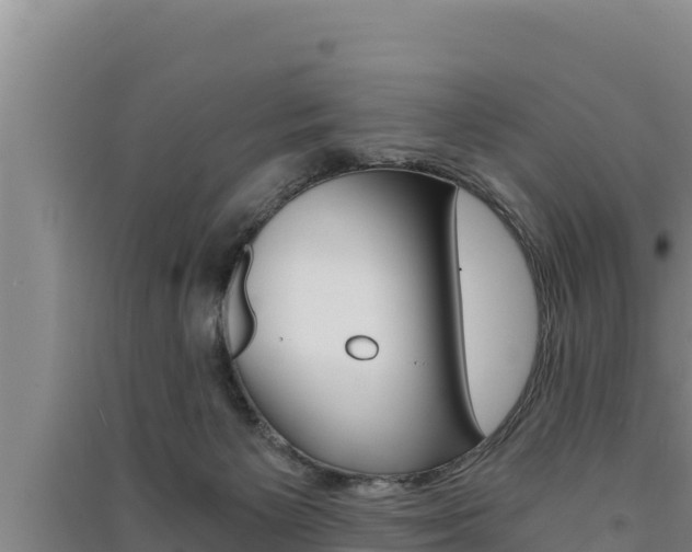 X0000091520125200708171018