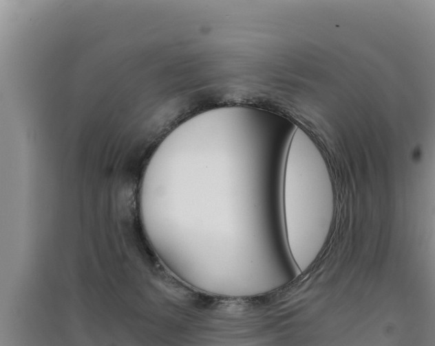X0000091520127200708171018
