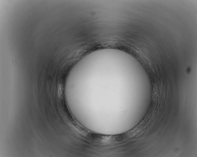 X0000091520130200708171018