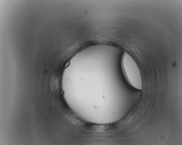 X0000091520131200708171018