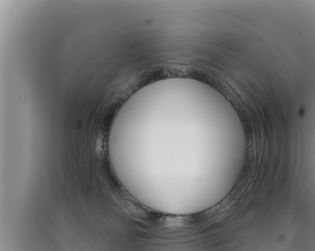 X0000091520134200708171018