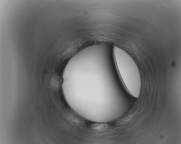 X0000091520135200708171018