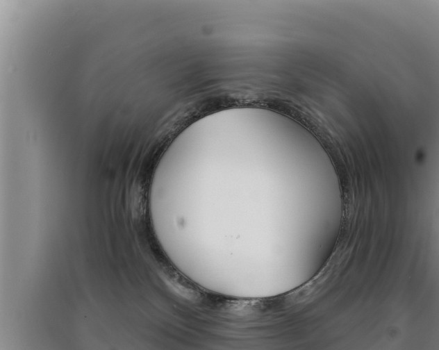 X0000091520136200708171018